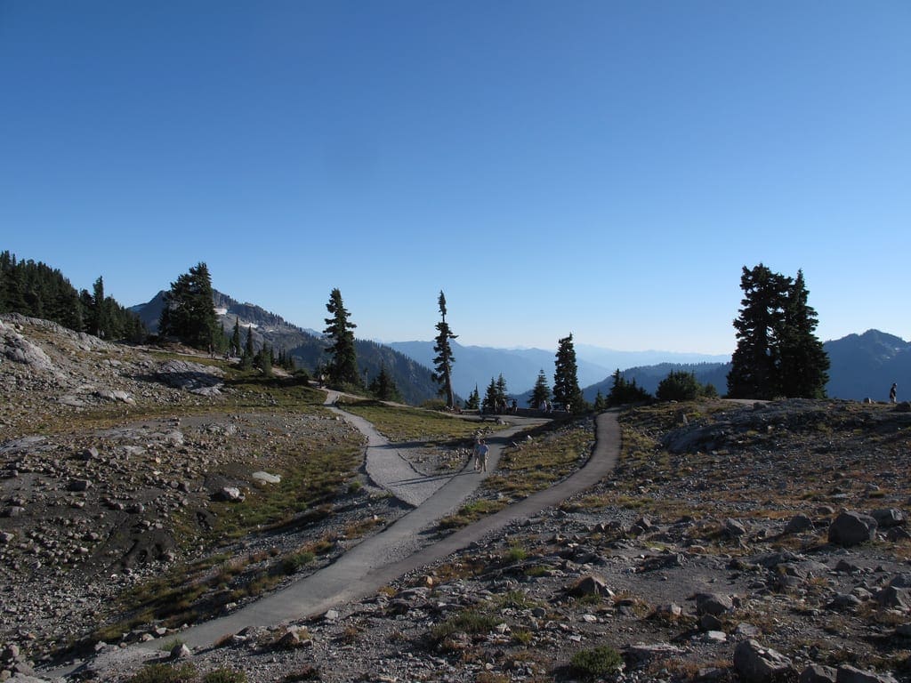 Applied Machine Learning is a Meritocracy - MachineLearningMastery.com