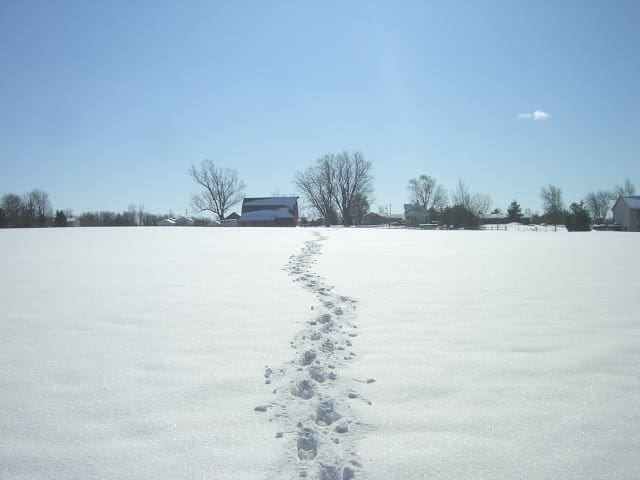 Model Selection Tips From Competitive Machine Learning - MachineLearningMastery.com