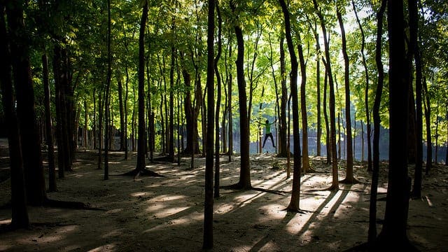 Better Understand Your Data in R Using Descriptive Statistics - MachineLearningMastery.com