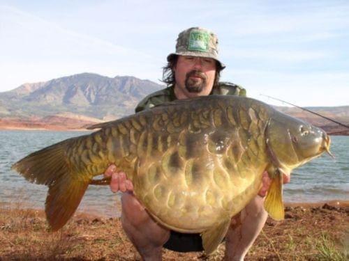 Get Your Data Ready For Machine Learning in R with Pre-Processing - MachineLearningMastery.com