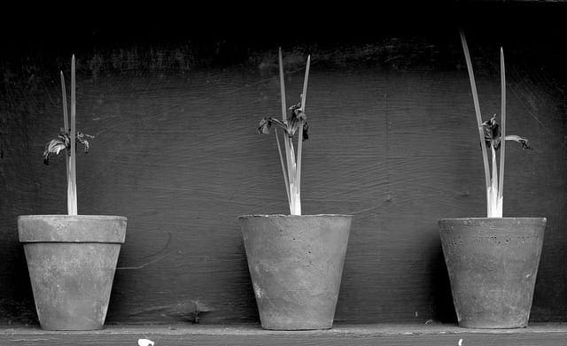 Simple Linear Regression Tutorial for Machine Learning - MachineLearningMastery.com