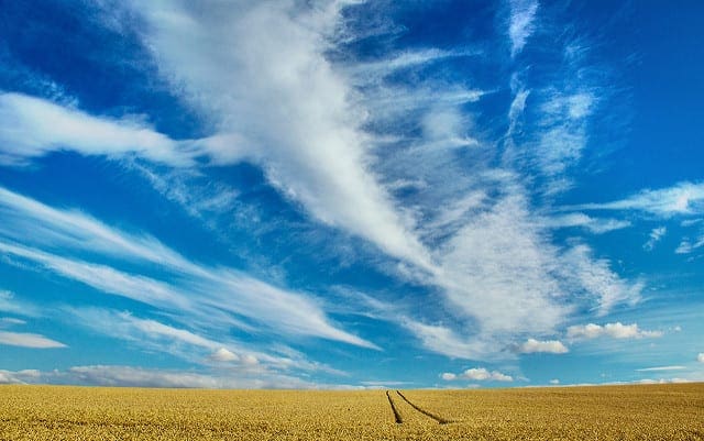 Learning Vector Quantization for Machine Learning - MachineLearningMastery.com