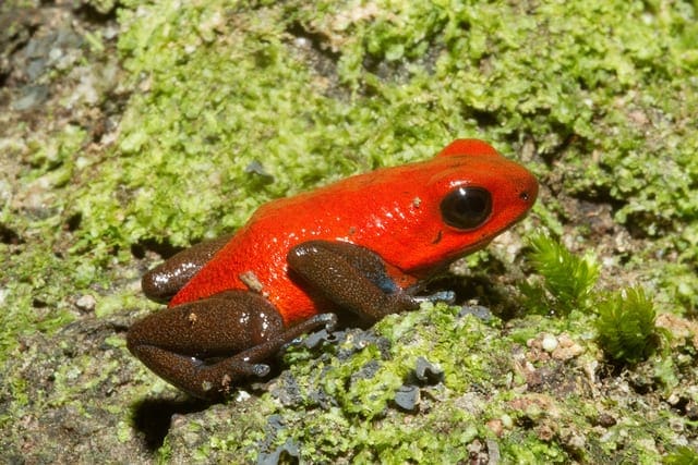 Logistic Regression Tutorial for Machine Learning - MachineLearningMastery.com