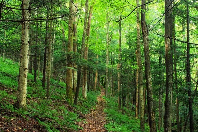 Bagging and Random Forest Ensemble Algorithms for Machine Learning - MachineLearningMastery.com