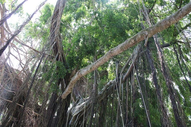 Boosting and AdaBoost for Machine Learning - MachineLearningMastery.com