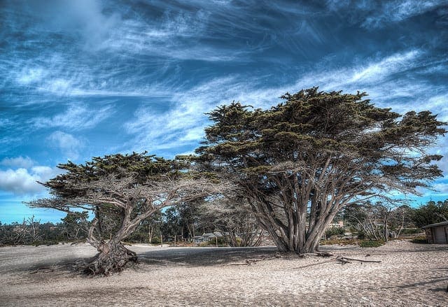 A Gentle Introduction to the Gradient Boosting Algorithm for Machine Learning - MachineLearningMastery.com