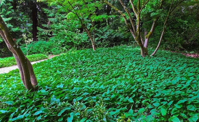 How To Estimate A Baseline Performance For Your Machine Learning Models in Weka - MachineLearningMastery.com