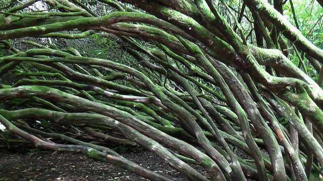 How to Evaluate Gradient Boosting Models with XGBoost in Python - MachineLearningMastery.com