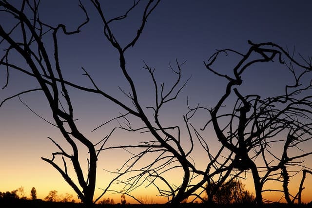 Data Preparation for Gradient Boosting with XGBoost in Python - MachineLearningMastery.com