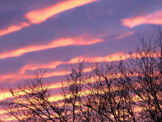 How to Save Your Machine Learning Model and Make Predictions in Weka - MachineLearningMastery.com