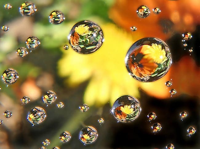 How To Implement Baseline Machine Learning Algorithms From Scratch With Python - MachineLearningMastery.com