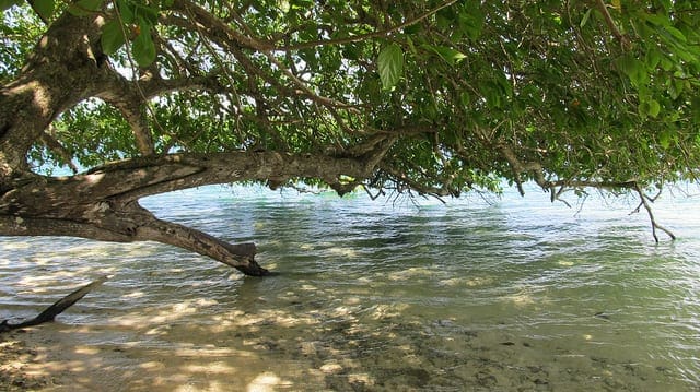 How to Implement Resampling Methods From Scratch In Python - MachineLearningMastery.com