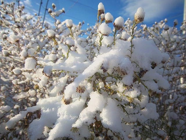 How to Identify and Remove Seasonality from Time Series Data with Python - MachineLearningMastery.com