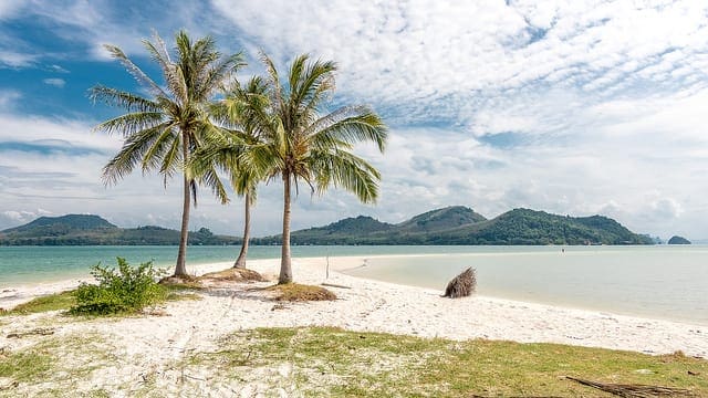 How to Make Out-of-Sample Forecasts with ARIMA in Python - MachineLearningMastery.com