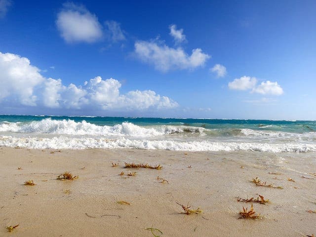 How to Train a Final Machine Learning Model - MachineLearningMastery.com