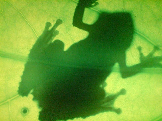 How to Prepare Sequence Prediction for Truncated BPTT in Keras - MachineLearningMastery.com