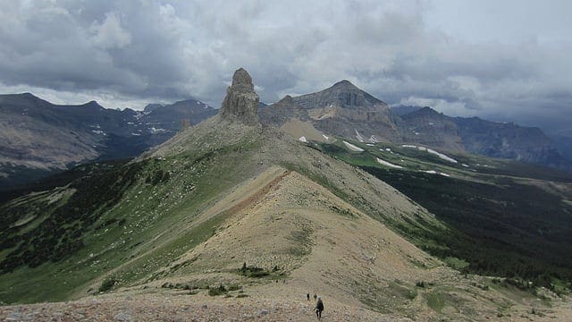 How to use an Encoder-Decoder LSTM to Echo Sequences of Random Integers - MachineLearningMastery.com