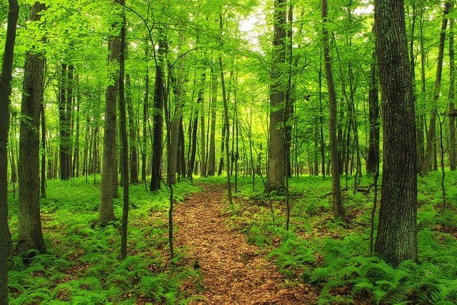 Mini-Course on Long Short-Term Memory Recurrent Neural Networks with Keras - MachineLearningMastery.com