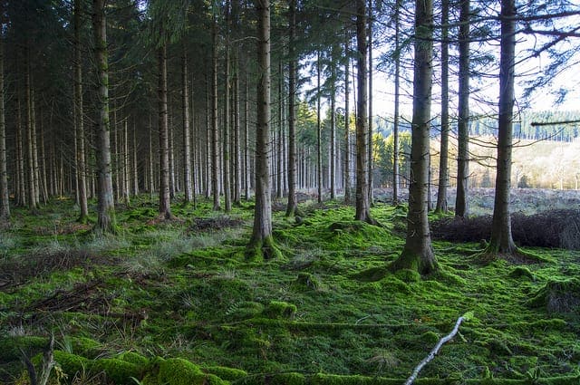 7 Applications of Deep Learning for Natural Language Processing - MachineLearningMastery.com