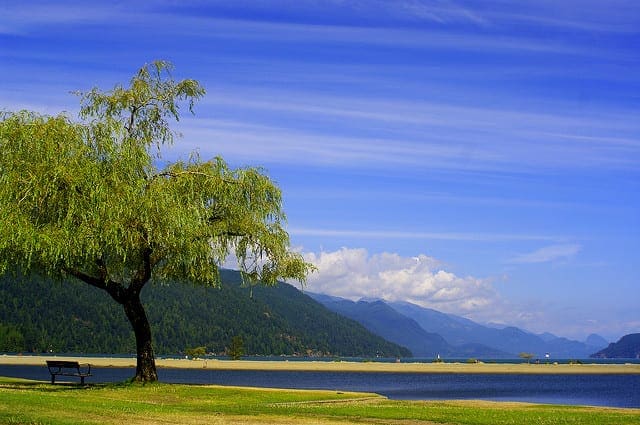 Promise of Deep Learning for Natural Language Processing - MachineLearningMastery.com