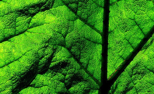 A Gentle Introduction to Calculating the BLEU Score for Text in Python - MachineLearningMastery.com