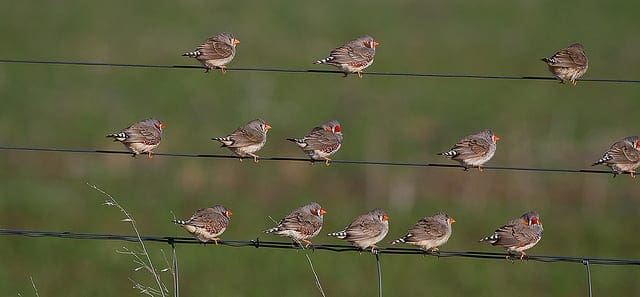 A Gentle Introduction to NumPy Arrays in Python - MachineLearningMastery.com