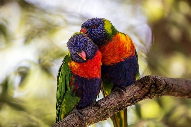 A Gentle Introduction to Expected Value, Variance, and Covariance with NumPy - MachineLearningMastery.com