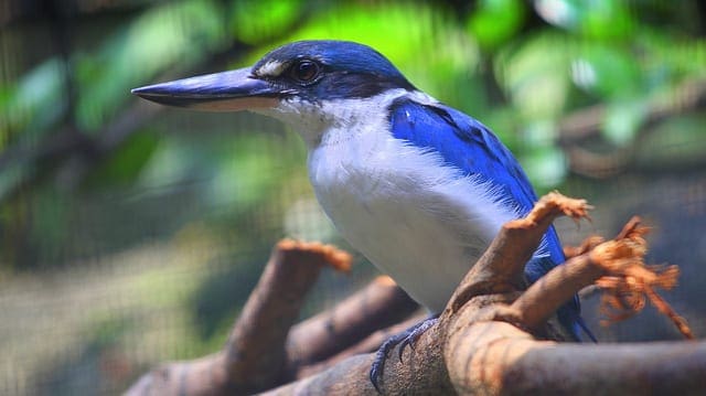 A Gentle Introduction to Matrix Factorization for Machine Learning - MachineLearningMastery.com