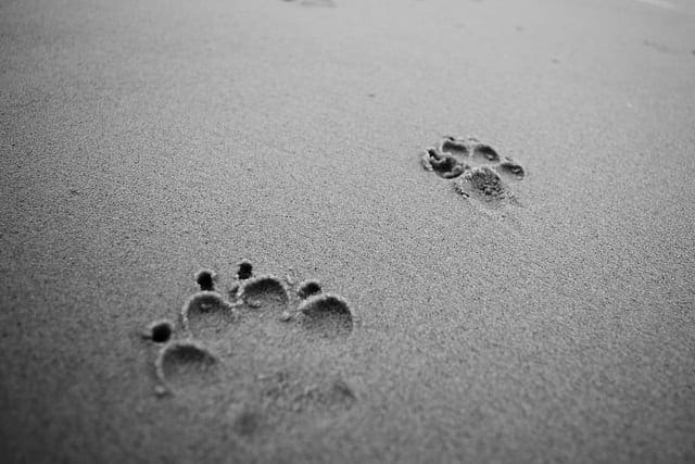 A Gentle Introduction to Matrix Operations for Machine Learning - MachineLearningMastery.com