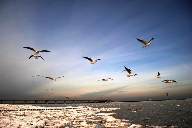 How to Make Predictions with scikit-learn - MachineLearningMastery.com