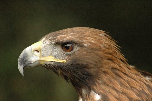 Linear Algebra Cheat Sheet for Machine Learning - MachineLearningMastery.com