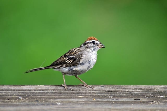 How to Solve Linear Regression Using Linear Algebra - MachineLearningMastery.com