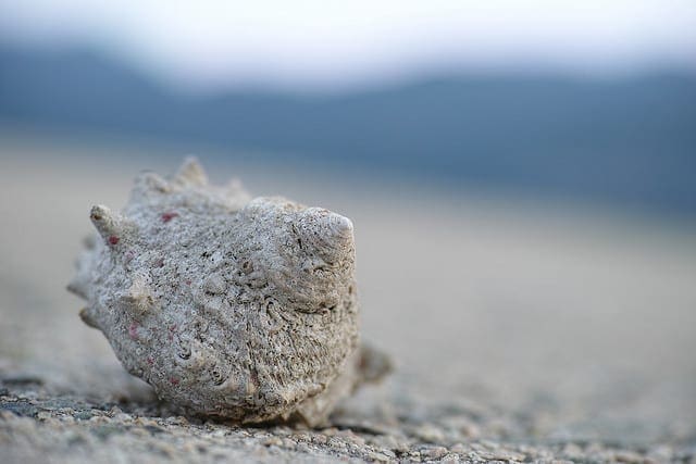 How to Make Predictions with Keras - MachineLearningMastery.com