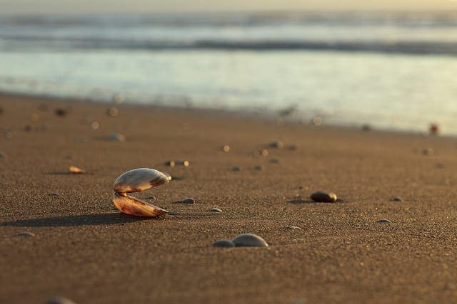 The Model Performance Mismatch Problem (and what to do about it) - MachineLearningMastery.com