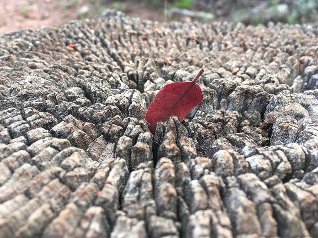 A Gentle Introduction to the Central Limit Theorem for Machine Learning - MachineLearningMastery.com