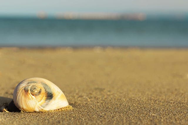 A Gentle Introduction to the Law of Large Numbers in Machine Learning - MachineLearningMastery.com