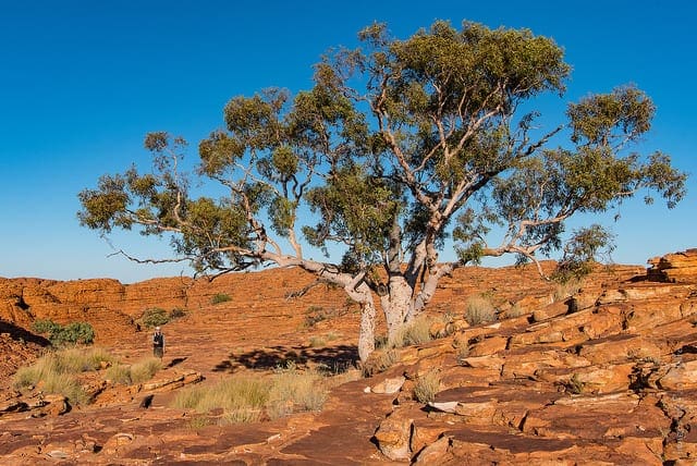 Confidence Intervals for Machine Learning - MachineLearningMastery.com