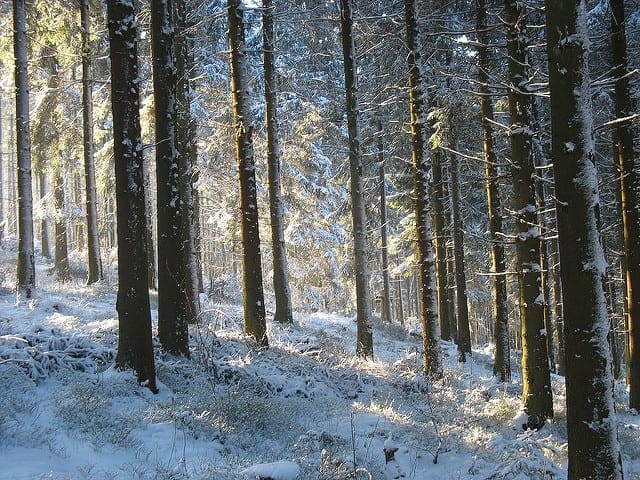 How to Transform Data to Better Fit The Normal Distribution - MachineLearningMastery.com