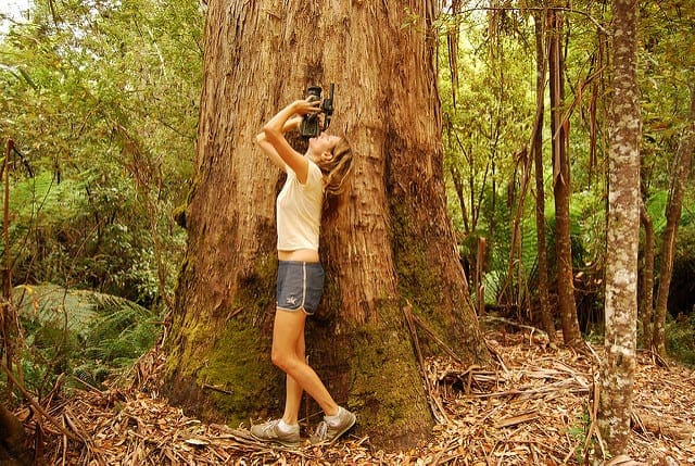 A Gentle Introduction to Estimation Statistics for Machine Learning - MachineLearningMastery.com