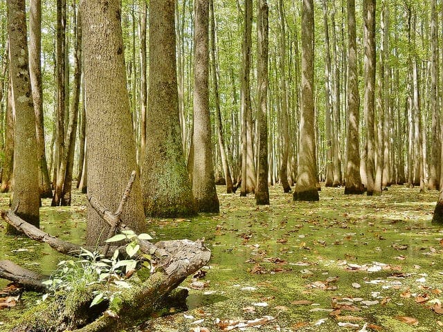 A Gentle Introduction to the Chi-Squared Test for Machine Learning - MachineLearningMastery.com