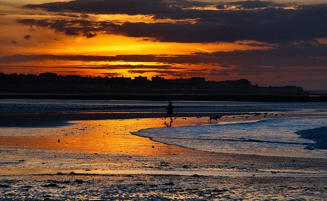 The Role of Randomization to Address Confounding Variables in Machine Learning - MachineLearningMastery.com