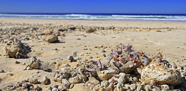 Statistics for Machine Learning (7-Day Mini-Course) - MachineLearningMastery.com