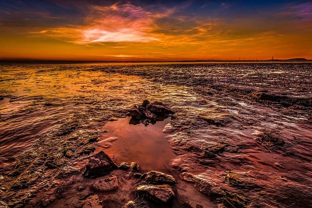 Comparing Classical and Machine Learning Algorithms for Time Series Forecasting - MachineLearningMastery.com