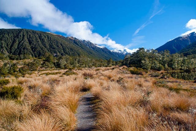 A Gentle Introduction to Dropout for Regularizing Deep Neural Networks - MachineLearningMastery.com