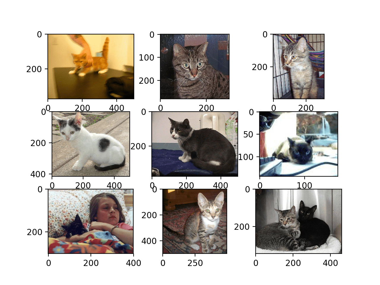 How to Classify Photos of Dogs and Cats (with 97% accuracy) - MachineLearningMastery.com