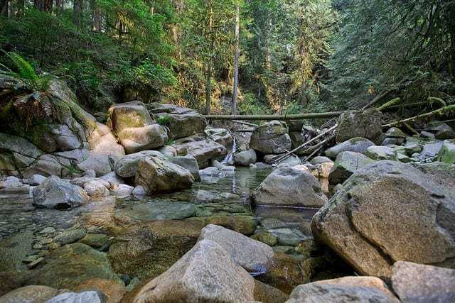 Transfer Learning in Keras with Computer Vision Models - MachineLearningMastery.com