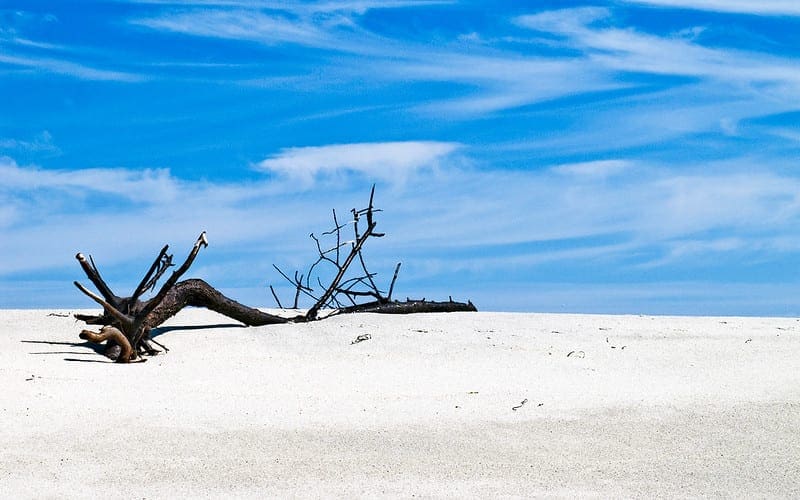 Tune Hyperparameters for Classification Machine Learning Algorithms - MachineLearningMastery.com