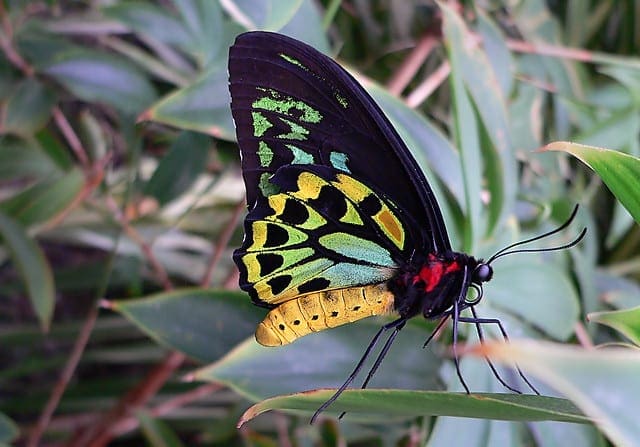 A Gentle Introduction to Model Selection for Machine Learning - MachineLearningMastery.com