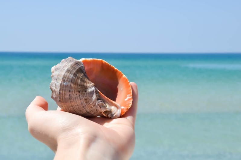 A Gentle Introduction to the Fbeta-Measure for Machine Learning - MachineLearningMastery.com