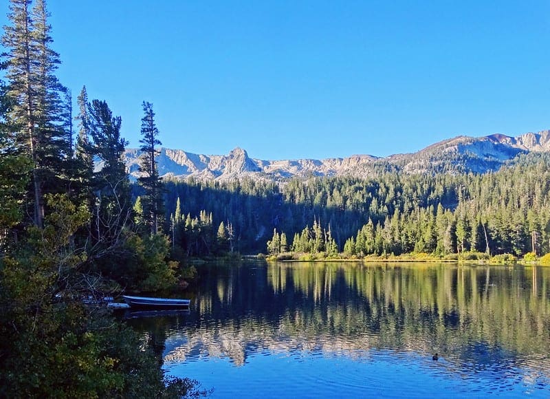 Bagging and Random Forest for Imbalanced Classification - MachineLearningMastery.com